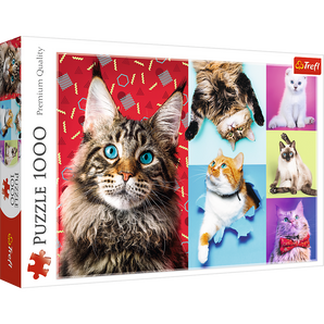 Glückliche Katzen - Puzzle 1000 Teile