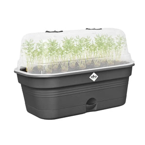 Elho - Green Basics - Anzuchtschale All-in-1 - L - Living Black Schwarz ca.39cm